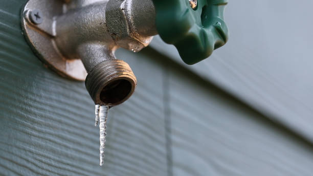 Best Drain Cleaning Services  in Milton, DE